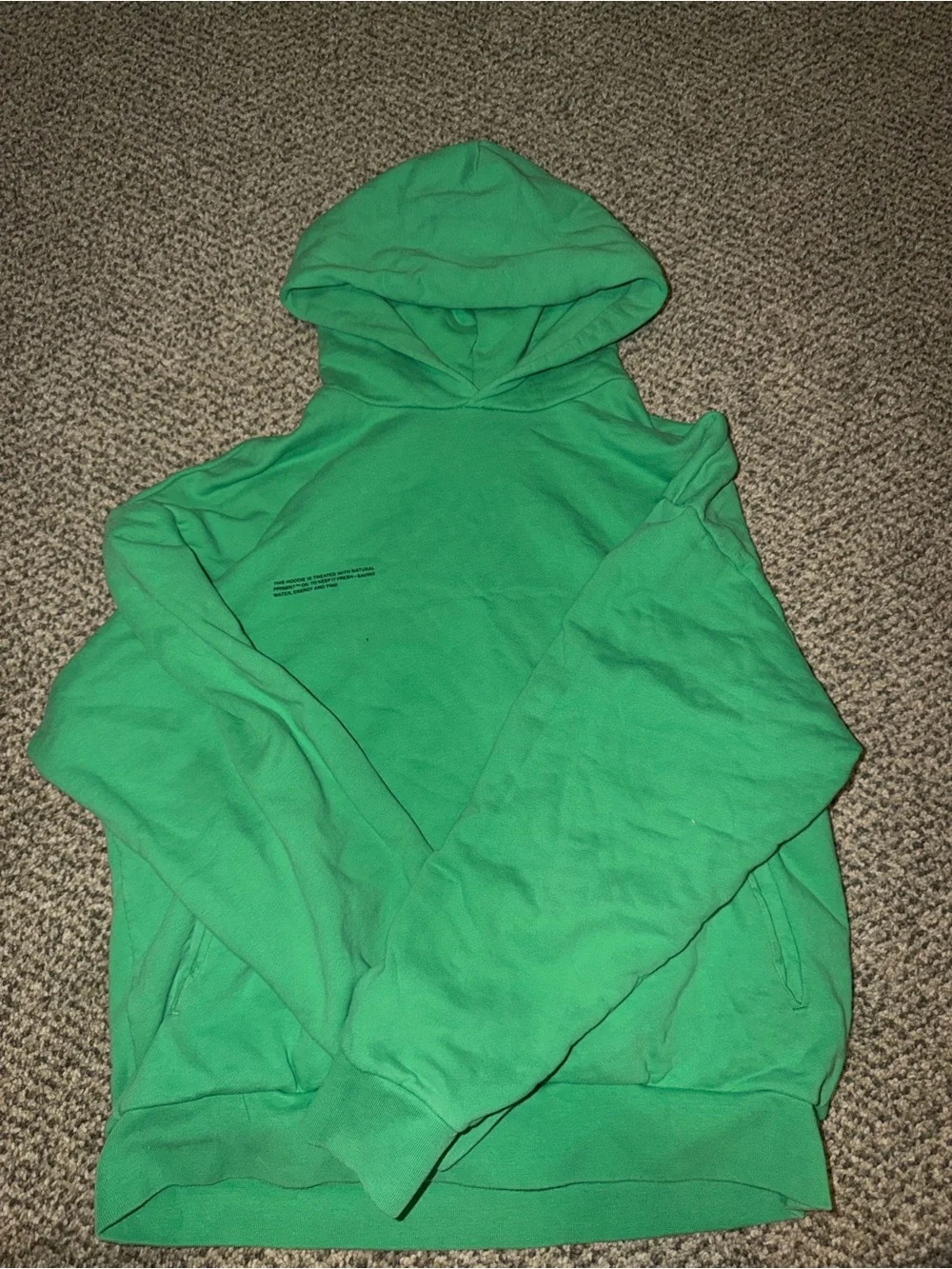 Pangaia Green Hooded Sweatshirt with Subtle Chest Print